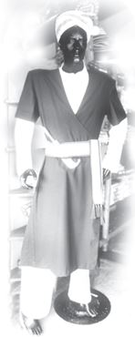 traditional coorgi dress