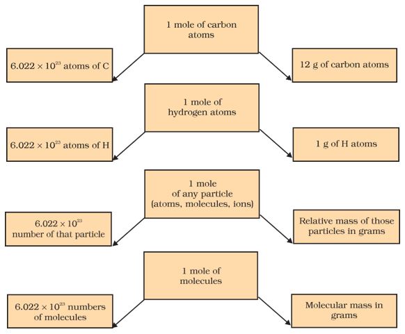 Mole concept class 11 | definition, formula & examples, NCERT